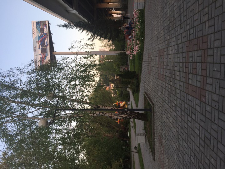 Сдаю квартиру посуточно в центре Хосты