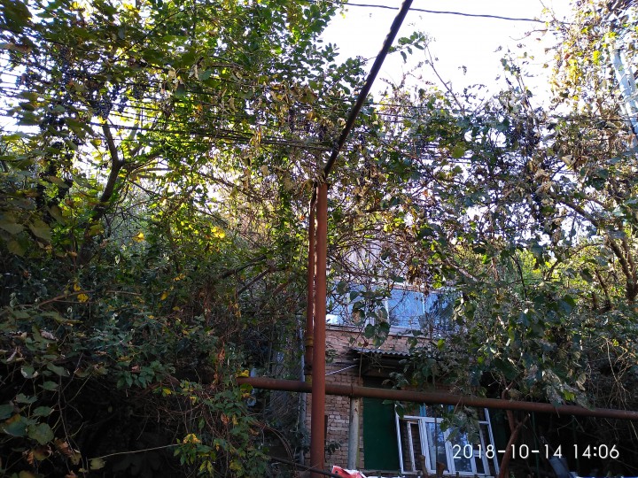 Земельный участок на Светлане