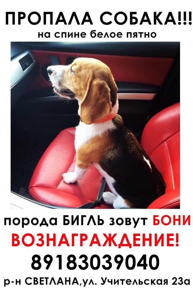 Пропала собака!!!Вознаграждение!!