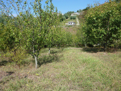 Продаю участок