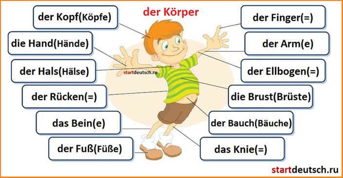 Немецкий язык:письмен.переводы,частные уроки.Русский язык.