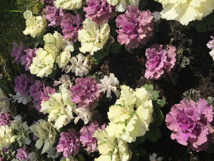 Озеленение любой сложности