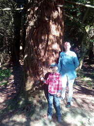 сниму комнату или квартиру 