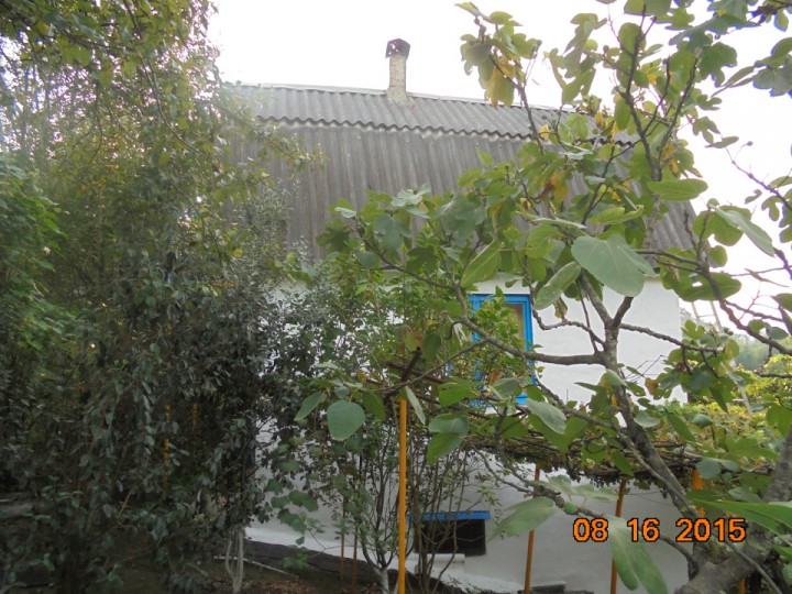 Продается дом 38 кв.м на участке 5,5 соток