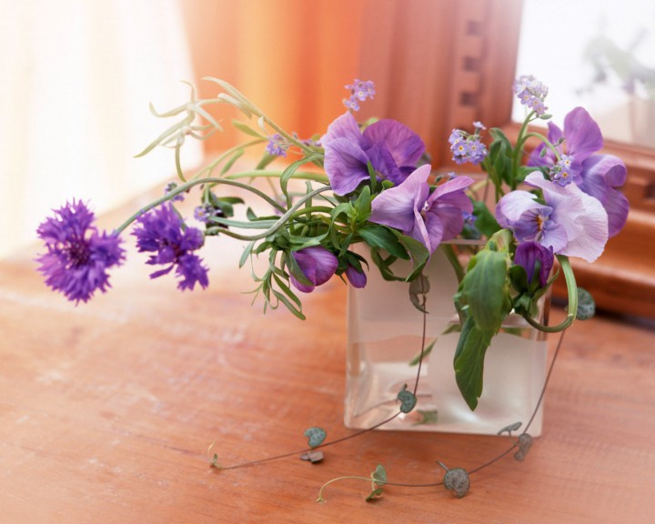 Сниму квартиру