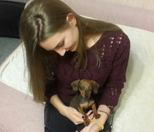 МАЛЕНЬКАЯ ТАКСА В БЕДЕ!