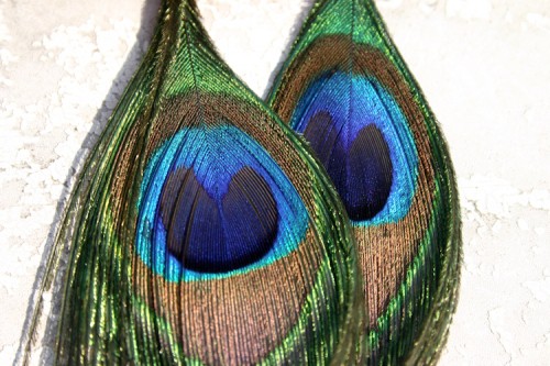 Серьги из павлиньих перьев