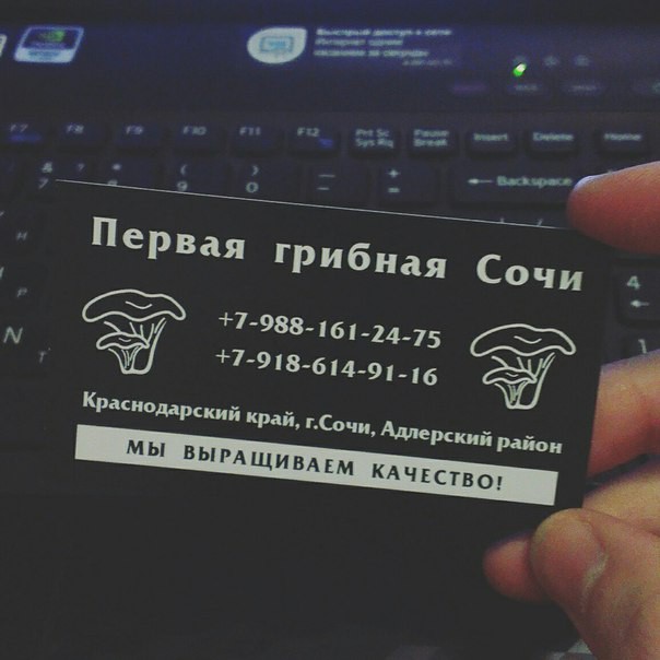 Отработанные грибные блоки на удобрение