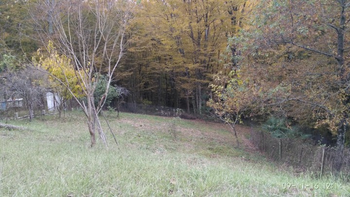 Ровный участок 10 соток.