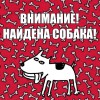 Найдена собака шпиц в Адлере