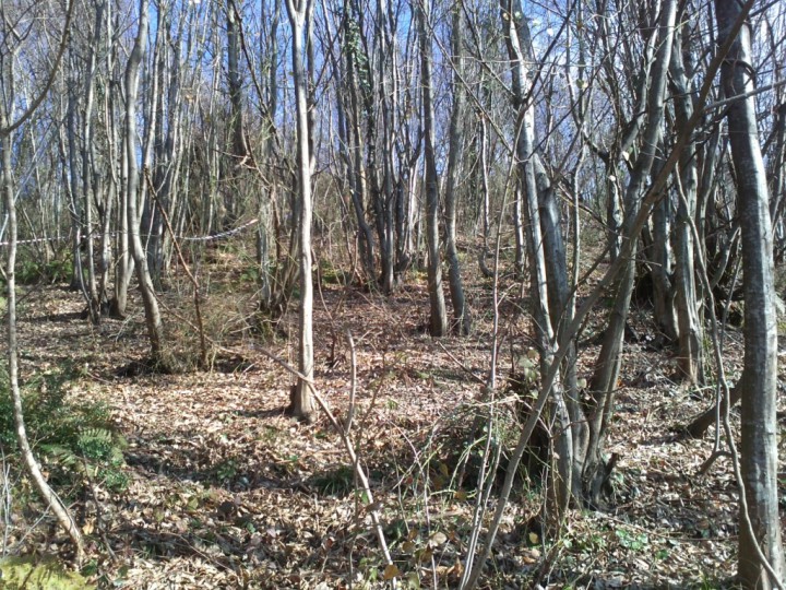 Продам участок на Ахуне