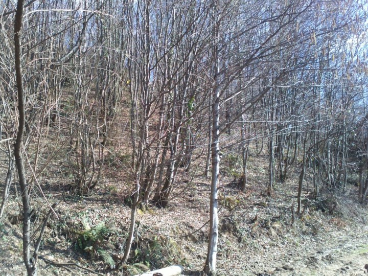 Продам участок на Ахуне