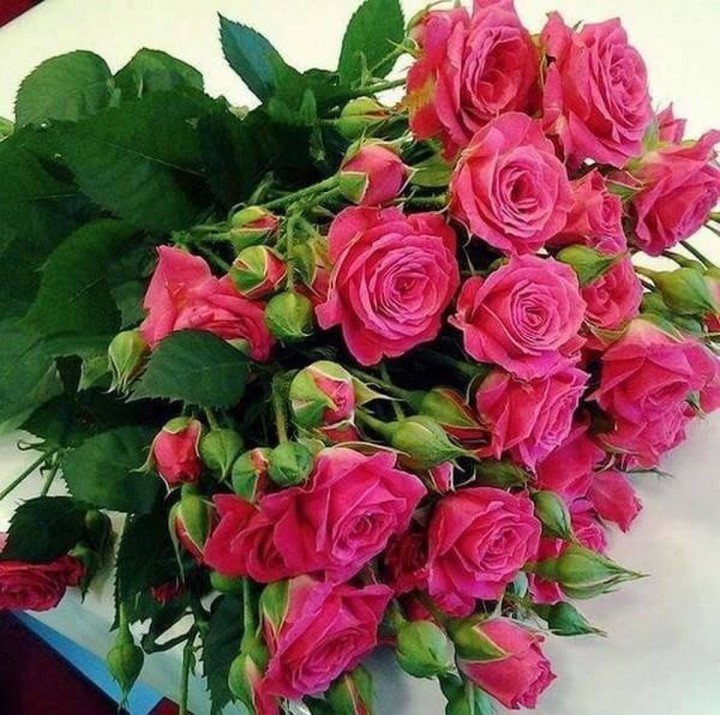 Семья из трех человек снимет длительно двухкомнатную квартиру