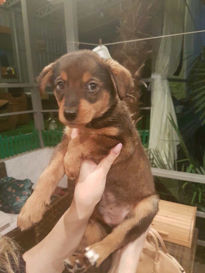 помогите найти дом малышу