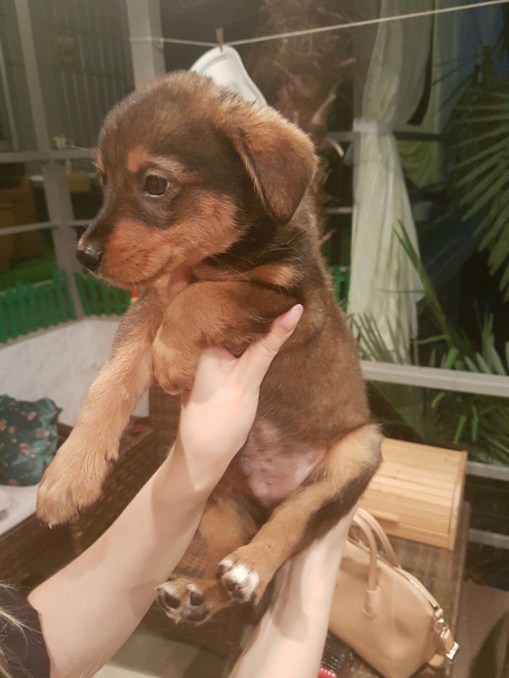 помогите найти дом малышу