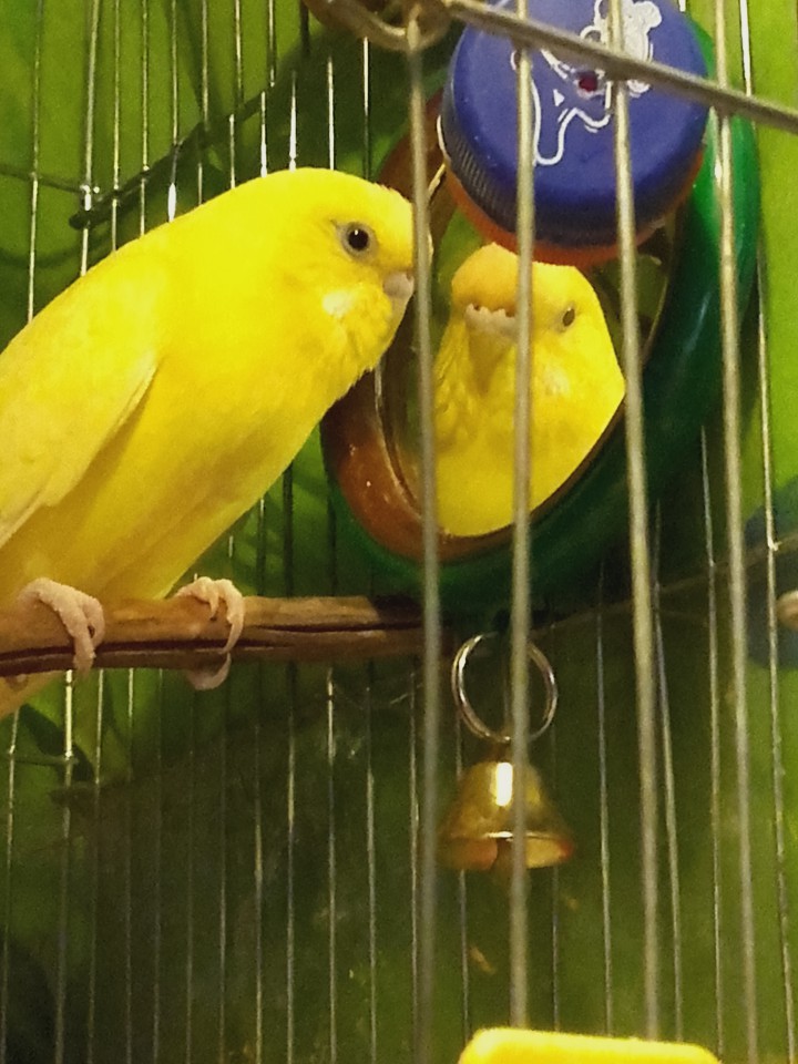 ПОМОГИТЕ НАЙТИ