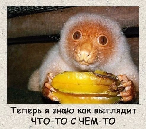   приму в дар 