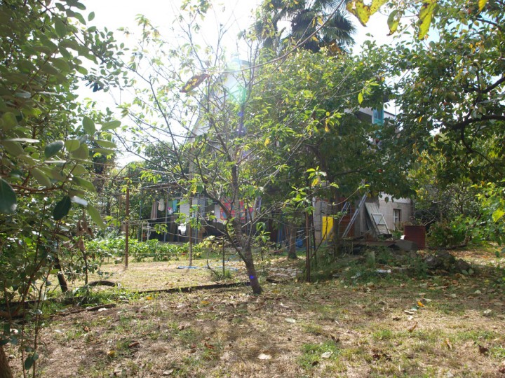 Домовладение 12,5 соток на Мацесте (Орешник).