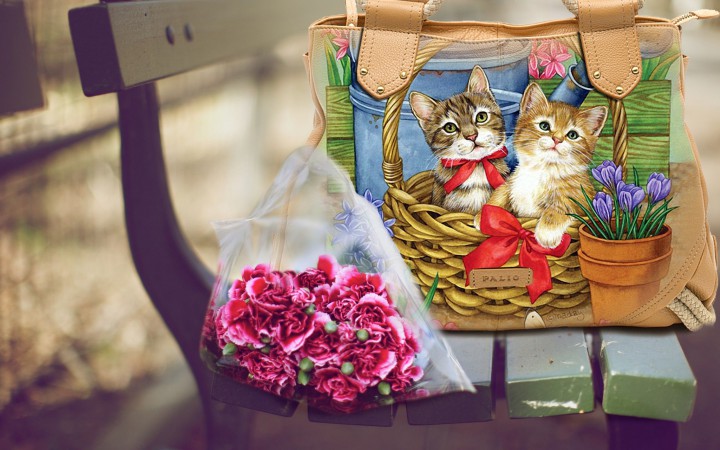 Яркие картины на сумках