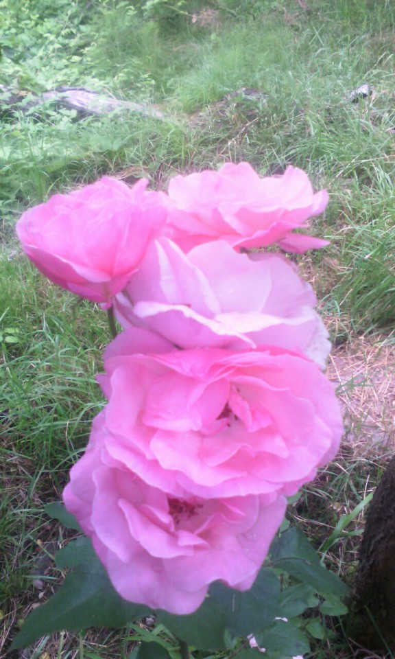 Украдены документы