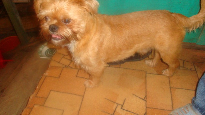 ПОЖАЛУЙСТА, ПОМОГИТЕ НАЙТИ !!!!!!!!!!!!!!!!!!