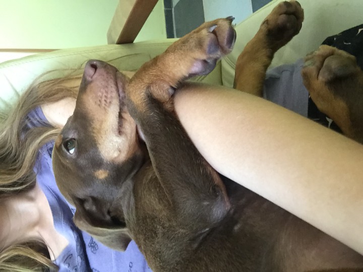 Помогите найти!!!