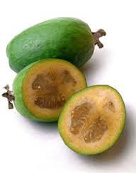 Бездвоздмездно