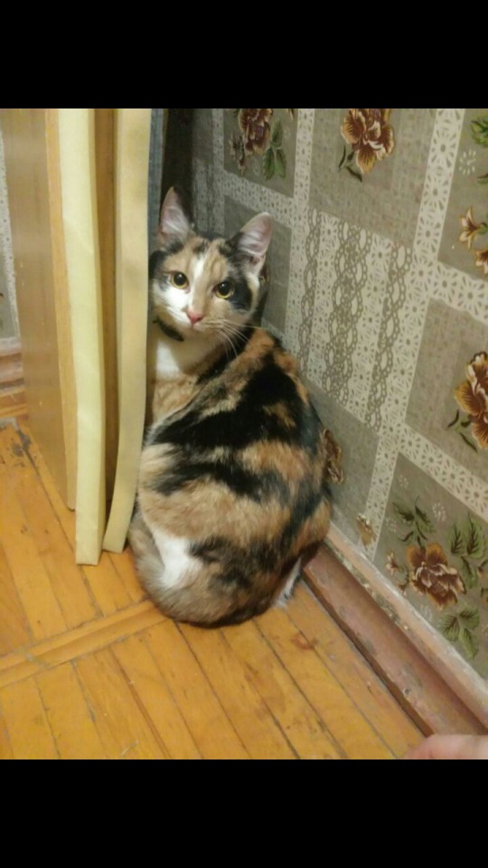 Кто потерял члена семьи? 