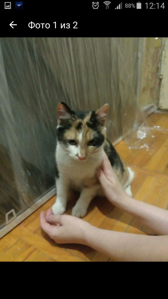 Кто потерял члена семьи? 