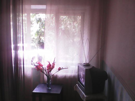 Сдам квартиру, студия 15 м.кв Сочи, Абрикосовая (низ Макаренко)	