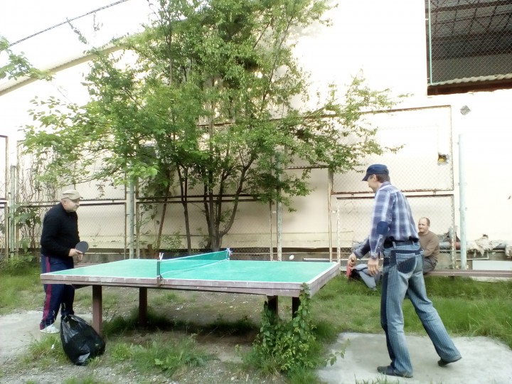 Настольный теннис