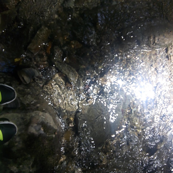 потерян паспорт