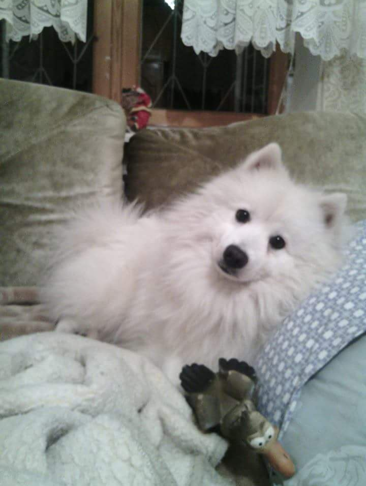 Продолжаем поиск!