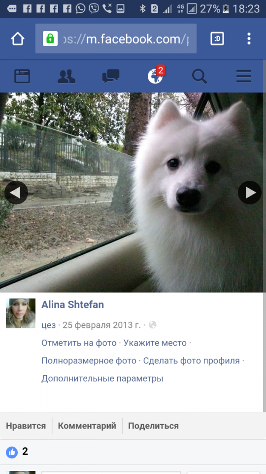 Продолжаем поиск!