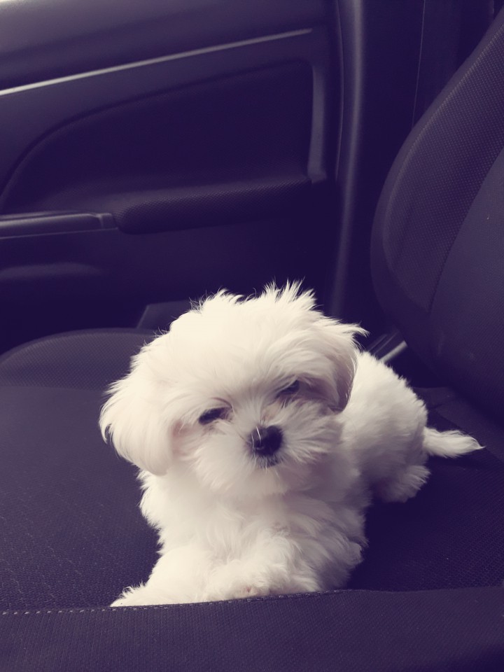 Потерялась 