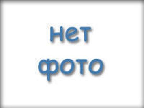 Найдена собака