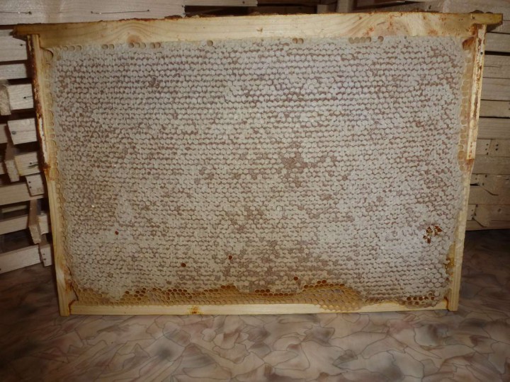 Качественный мед с горной пасеки