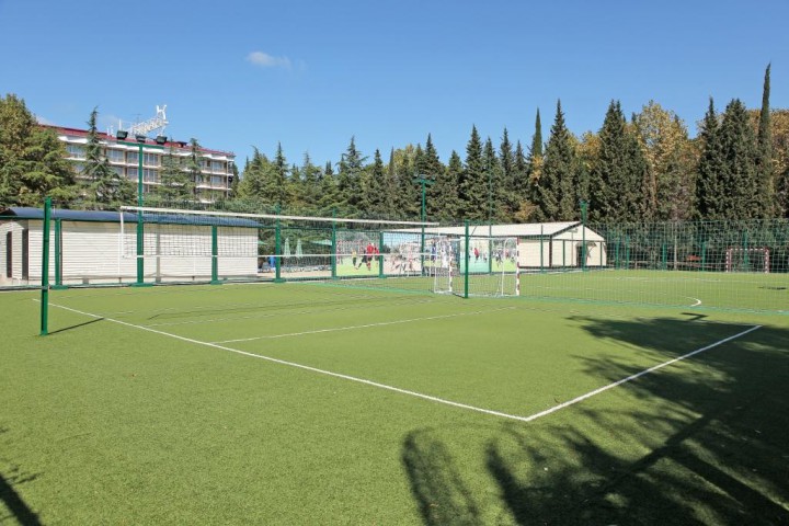 Спортивные поля