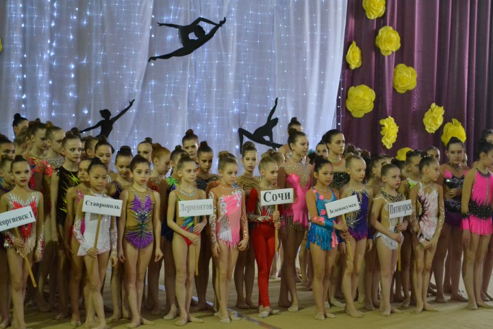 Сочинские гимнастки взяли места в г Георгиевске!  