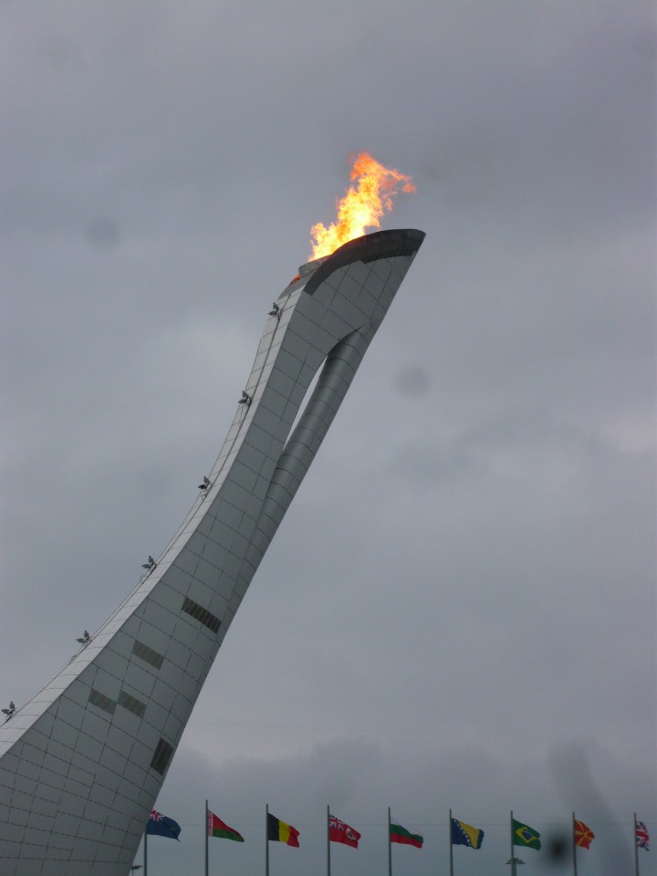 куплю билеты