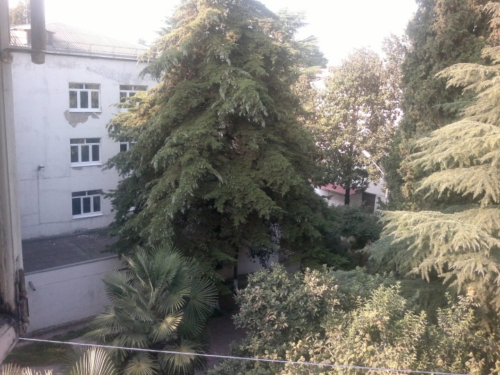 Продаю 1-ю квартиру на Цветном