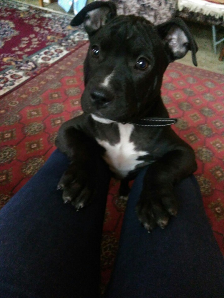 Помогите найти 