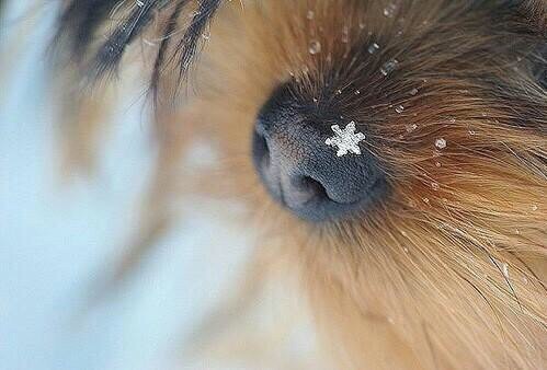 ПОТЕРЯН ТЕЛЕФОН В СОЧИ!!!