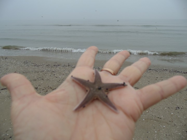 утерян кошелек