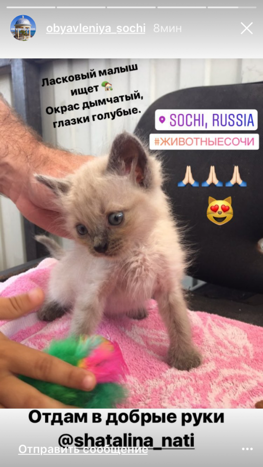 Малыш ищет дом 