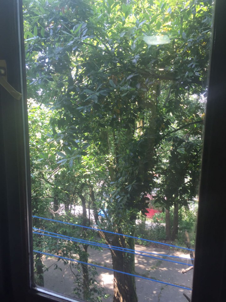 Пасечная 16  кв 28