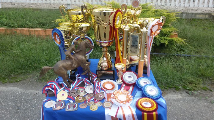 НАБОР в спортивную школу по КОННОМУ СПОРТУ