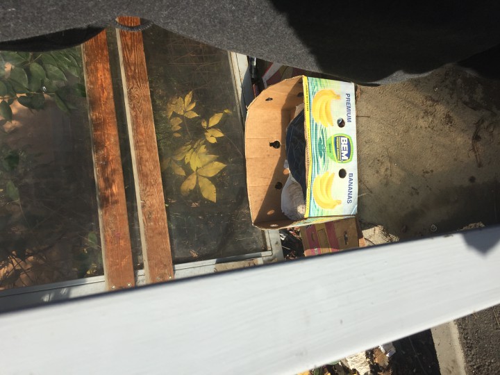 Потеряшки собачки