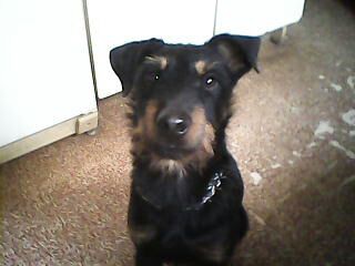 Пропал друг!