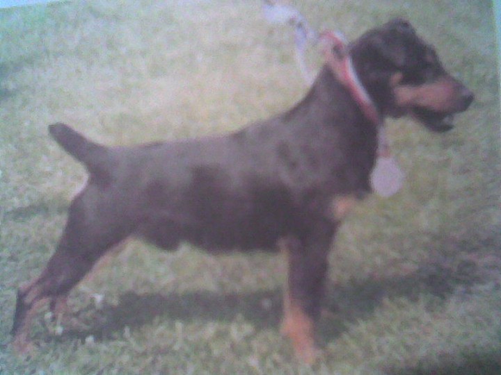 Пропал друг!